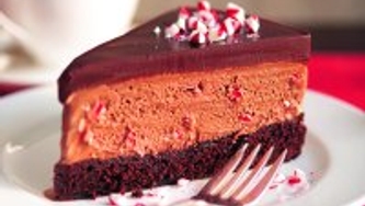Gâteau à la glace au chocolat aromatisée de bâtons forts