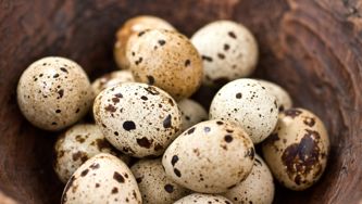 Oeufs de cailles marinés au thé Earl Grey