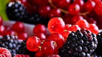 Un summer pudding
