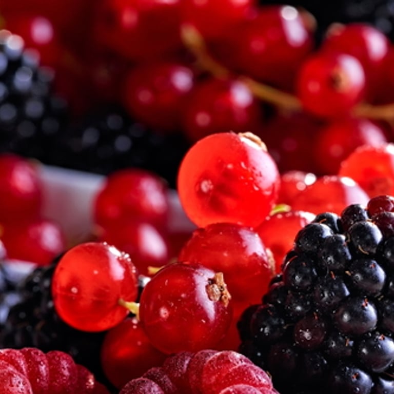Un summer pudding