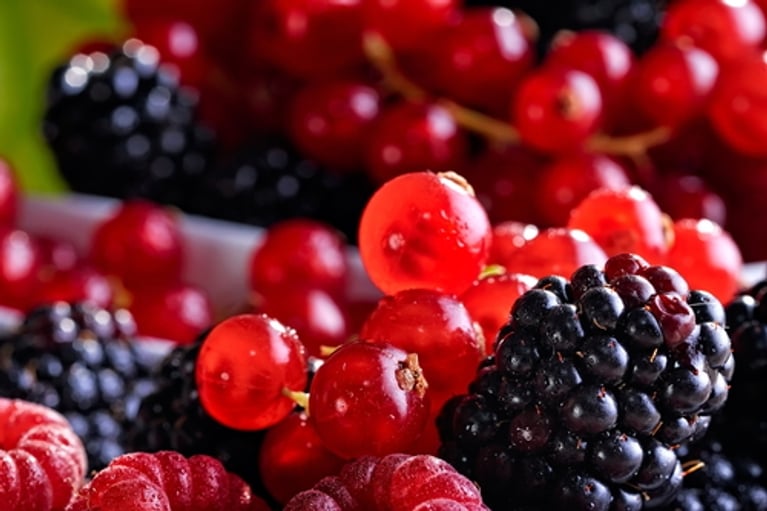 Un summer pudding
