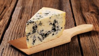 Terrine de roquefort aux figues
