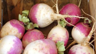 Navets confits