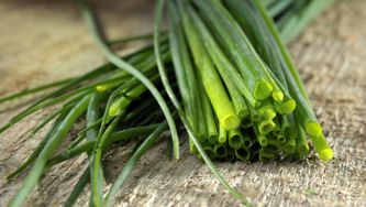 Feuilleté de petits légumes aux herbes fraîches