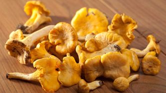 Omelette forestière aux chanterelles et à la menthe