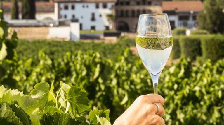 Bulles et bouchées : un été de tapas avec le cava Segura Viudas