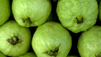 Crème de goyave