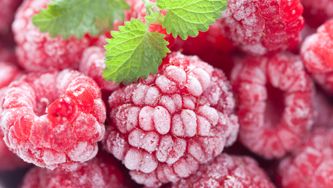 Fruits givrés
