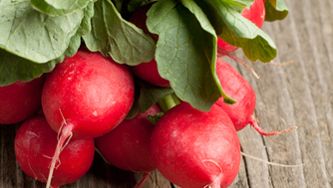Potage de radis roses et sa garniture
