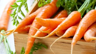 Salade de carottes et d'orange au yogourt