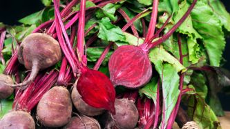Salade de betteraves, clémentines et céleri-rave