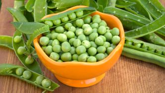 Petits pois au sésame et au basilic