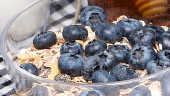 Barres tendres aux bleuets
