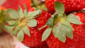 Fraises au Passito