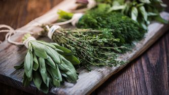 Comment conserver les herbes fraîches ?