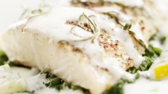 Flétan au fenouil et à la crème