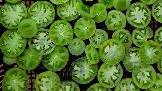 Ketchup vert