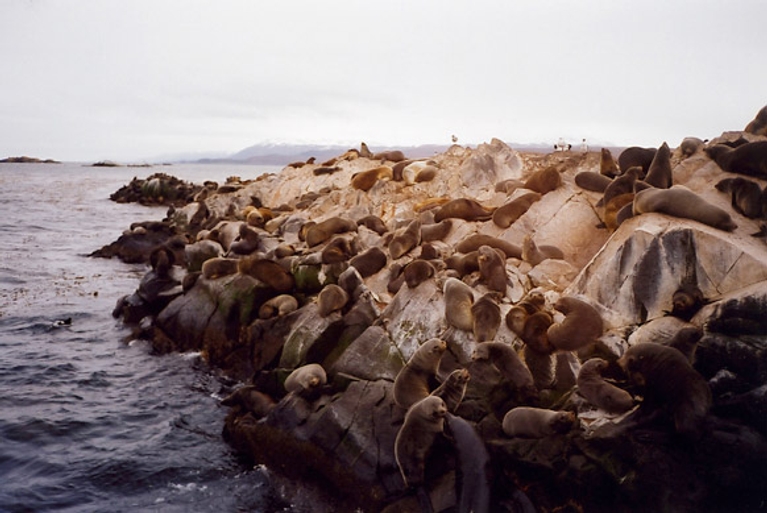Argentine : entre culture et nature