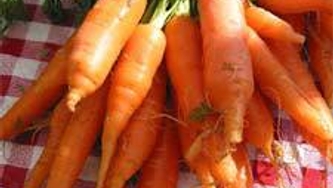 Carottes émoustillées