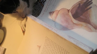 Notes de lecture