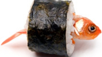 Sushi, tu m’inquiètes