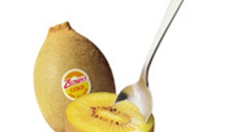 Kiwi jaune de Nouvelle-Zélande