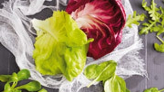 Salades d'été