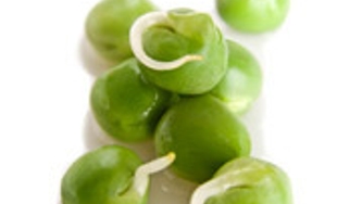 Alimentation vivante 101