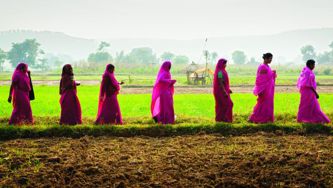 Inde : roses et rebelles
