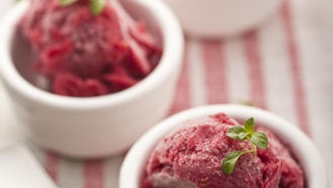 Sorbets aux fruits maison