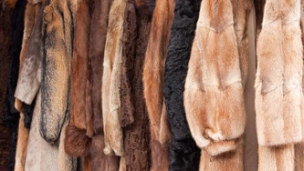 Entreposer un manteau de vison