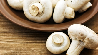 Valeur nutritive des champignons
