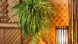 Tendances déco