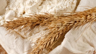Farine tout usage non blanchie