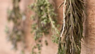 Valeur nutritive des herbes séchées