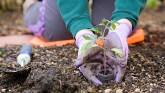 L’écojardinage