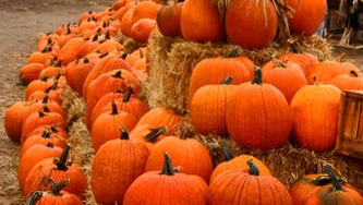 Cuisiner la citrouille d'Halloween