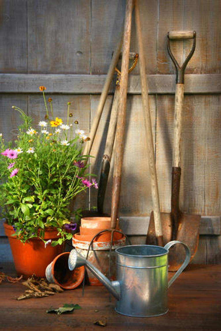 Bons outils pour le jardin