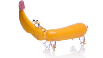 Un adorable chien saucisse