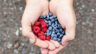 Renversé aux petits fruits