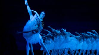 Persiste et cygne