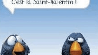 Gazouillis de Saint-Valentin
