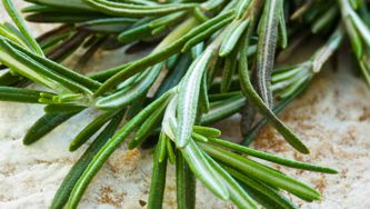 Fines herbes : idées express