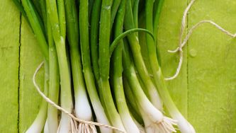 Oignons verts 101