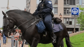 Revue d’une semaine cavalière