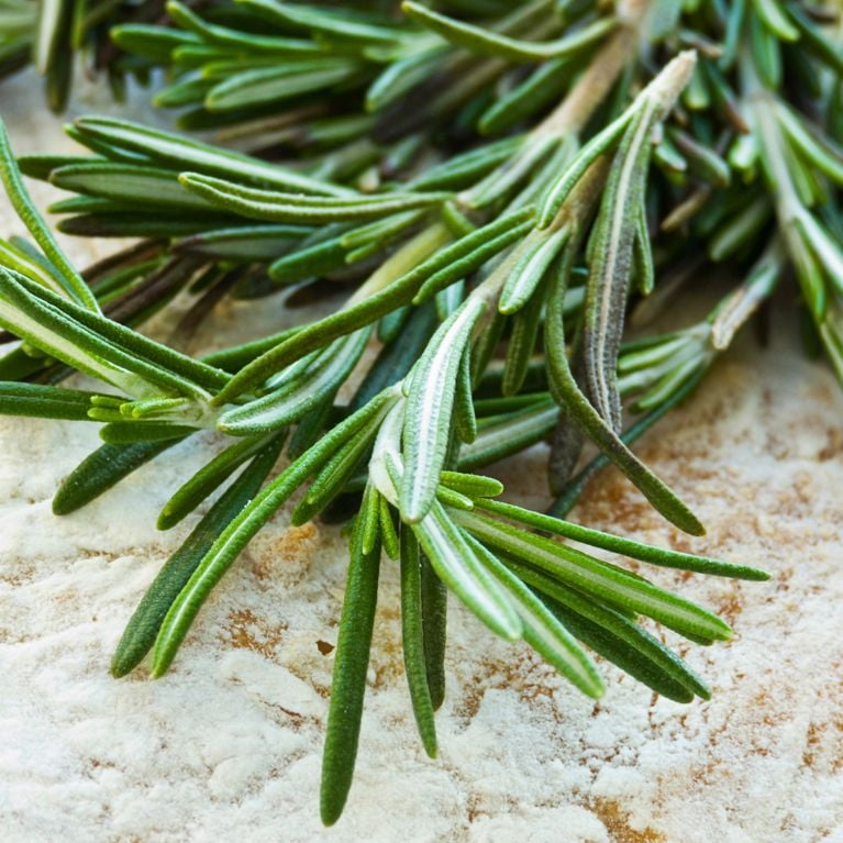 Fines herbes : idées express