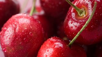 Cerises exquises