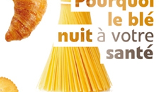 Blé et gluten : pourquoi ils nuisent à notre santé