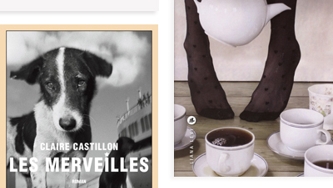 Juillet : nouveaux arrivages