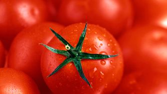 Des aliments contre les UV